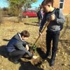 День древонасаждения