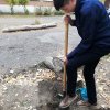 День древонасаждения