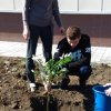 День древонасаждения